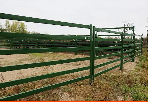 image Cattle Panels
